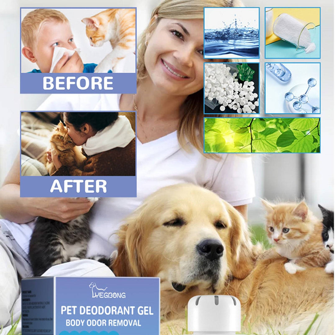 KOLUSE Pet Deodorant Gel Air Fresh Odor Removal