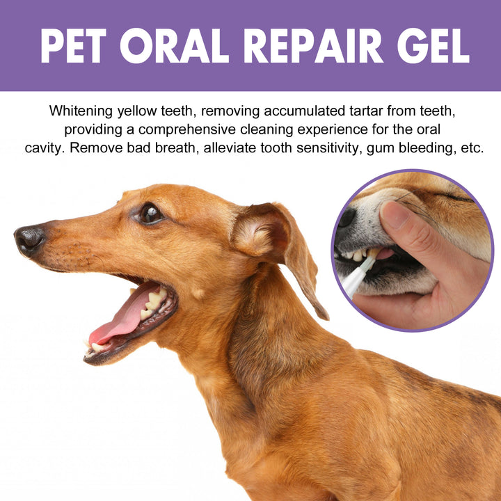 KOLUSE Pet Oral Repair Gel Fresh Breath Natural Harmless