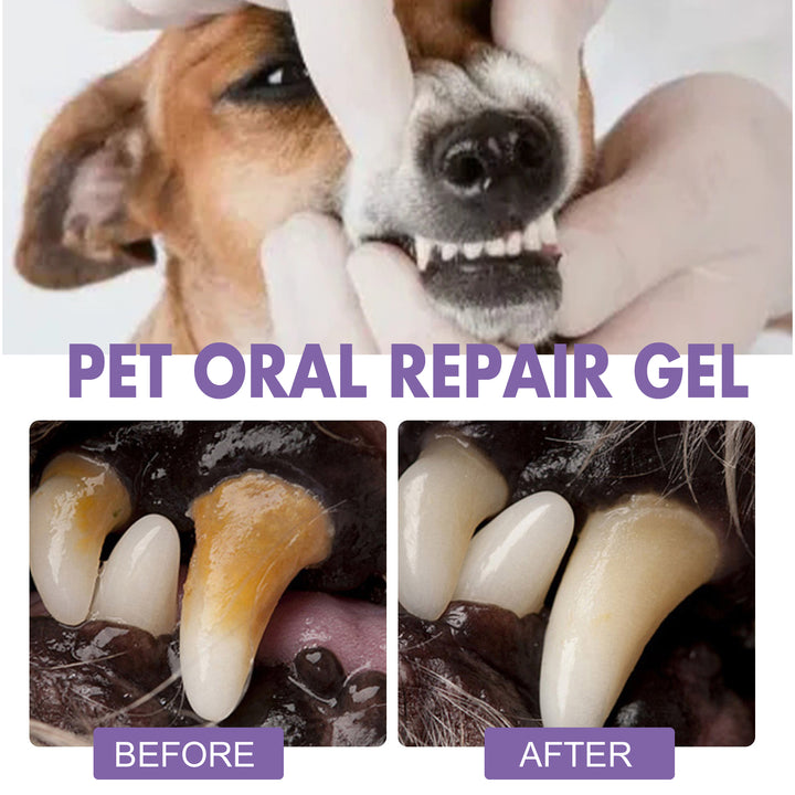 KOLUSE Pet Oral Repair Gel Fresh Breath Natural Harmless