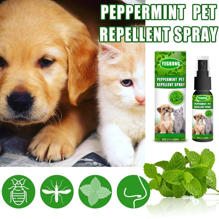 KOLUSE 60ML/2FL.OZ Peppermint Pet Repellent Spray